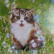 ヒメ日記 2025/04/19 10:15 投稿 らん♡濃厚度120％ ラヴァーズ