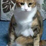 ヒメ日記 2025/04/26 10:12 投稿 らん♡濃厚度120％ ラヴァーズ