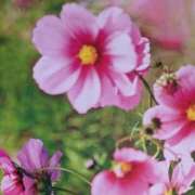 ヒメ日記 2025/10/25 10:02 投稿 らん♡濃厚度120％ ラヴァーズ