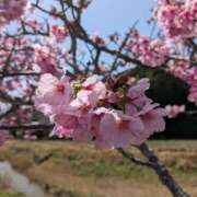 ヒメ日記 2026/03/25 10:14 投稿 らん♡濃厚度120％ ラヴァーズ