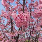 ヒメ日記 2026/04/01 10:06 投稿 らん♡濃厚度120％ ラヴァーズ