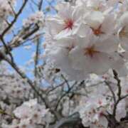 ヒメ日記 2026/04/09 10:02 投稿 らん♡濃厚度120％ ラヴァーズ