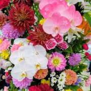 ヒメ日記 2026/04/11 12:58 投稿 らん♡濃厚度120％ ラヴァーズ