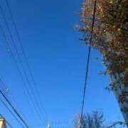 ヒメ日記 2024/12/18 22:16 投稿 まろん 熟女家 京橋店