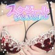 ヒメ日記 2025/01/19 21:23 投稿 桐生 BBW五反田店