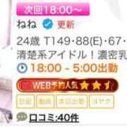 ヒメ日記 2025/03/17 13:20 投稿 ねね ごほうびSPA五反田店