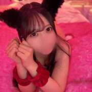 ヒメ日記 2025/11/26 21:03 投稿 ねね ごほうびSPA五反田店