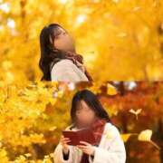 ヒメ日記 2025/12/28 13:00 投稿 ねね ごほうびSPA五反田店