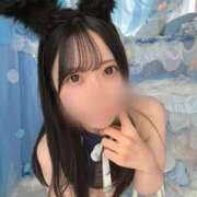 ヒメ日記 2026/04/11 15:25 投稿 ねね ごほうびSPA五反田店