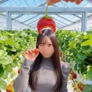 ヒメ日記 2026/04/12 11:10 投稿 ねね ごほうびSPA五反田店