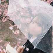 ヒメ日記 2026/04/15 00:30 投稿 ねね ごほうびSPA五反田店