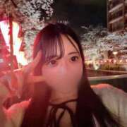 ヒメ日記 2026/04/17 13:22 投稿 ねね ごほうびSPA五反田店