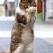 新人 こづみ お願い🙇 DIVA-ディーバ-【DIVAグループ】