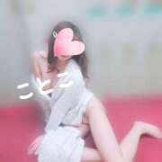 ヒメ日記 2025/01/19 15:21 投稿 ことこ ビアガーデンカーニバル