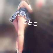 ヒメ日記 2025/05/28 12:32 投稿 ことこ ビアガーデンカーニバル