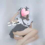 ことこ つるつるとふにゃふにゃ！　ことこ ビアガーデンカーニバル