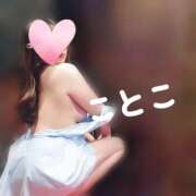 ことこ 丸見えメイドさん！　ことこ ビアガーデンカーニバル