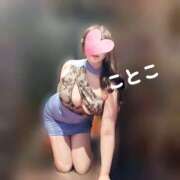 ヒメ日記 2026/06/12 12:33 投稿 ことこ ビアガーデンカーニバル