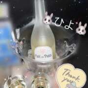 ヒメ日記 2025/02/02 00:43 投稿 ひより ビアガーデンカーニバル