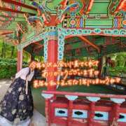 ヒメ日記 2024/12/31 15:54 投稿 るら ラブライフ所沢川越