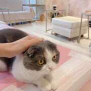 ヒメ日記 2025/10/05 20:53 投稿 霧島しずか ワイフコレクション