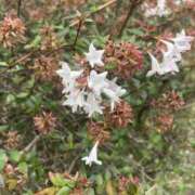 ヒメ日記 2025/10/23 20:25 投稿 霧島しずか ワイフコレクション