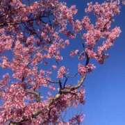 ヒメ日記 2026/03/05 21:30 投稿 霧島しずか ワイフコレクション