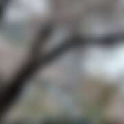 ヒメ日記 2026/04/01 21:17 投稿 霧島しずか ワイフコレクション