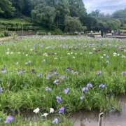 ヒメ日記 2025/06/15 21:19 投稿 霧島しずか 色気あるワイフ