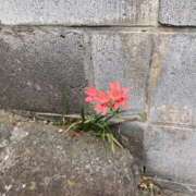 ヒメ日記 2026/04/19 23:24 投稿 霧島しずか 美魔女エステ