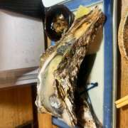 ヒメ日記 2025/09/06 16:28 投稿 みずほ 神田エマニエル