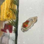 ヒメ日記 2025/11/19 19:30 投稿 みずほ 神田エマニエル