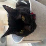 ヒメ日記 2026/03/17 18:49 投稿 みずほ 神田エマニエル