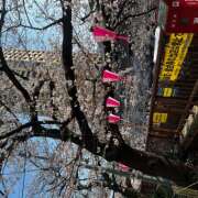 ヒメ日記 2026/04/01 19:41 投稿 みずほ 神田エマニエル