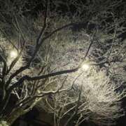 ヒメ日記 2025/02/23 11:19 投稿 新人 かぐやｻﾝ De愛急行 栗東インター店