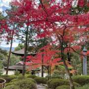 ヒメ日記 2025/10/24 13:17 投稿 新人 かぐやｻﾝ De愛急行 栗東インター店