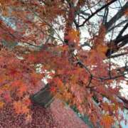 新人 かぐやｻﾝ ☆かぐや☆ De愛急行 栗東インター店