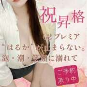 ヒメ日記 2025/04/13 19:54 投稿 はるか 素人巨乳ちゃんこ「東千葉店」