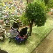 ヒメ日記 2025/10/07 07:26 投稿 はるか 素人巨乳ちゃんこ「東千葉店」