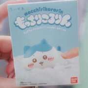 ヒメ日記 2026/01/25 03:49 投稿 はるか 素人巨乳ちゃんこ「東千葉店」