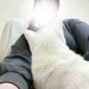 ヒメ日記 2026/02/02 10:10 投稿 はるか 素人巨乳ちゃんこ「東千葉店」