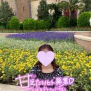 ヒメ日記 2025/02/15 15:29 投稿 あや ウルトラグレイス24