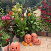 ヒメ日記 2025/09/25 11:20 投稿 あや ウルトラグレイス24