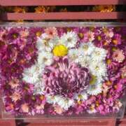 ヒメ日記 2025/11/18 16:50 投稿 あや ウルトラグレイス24