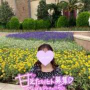 ヒメ日記 2025/11/22 13:50 投稿 あや ウルトラグレイス24