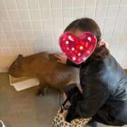 ヒメ日記 2026/01/01 09:20 投稿 あや ウルトラグレイス24