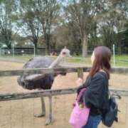 ヒメ日記 2026/02/13 22:37 投稿 あや ウルトラグレイス24