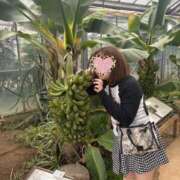 ヒメ日記 2026/04/02 09:00 投稿 あや ウルトラグレイス24