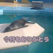 ヒメ日記 2026/08/06 20:29 投稿 あや ウルトラグレイス24