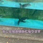 ヒメ日記 2026/08/13 21:50 投稿 あや ウルトラグレイス24